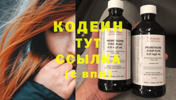 ГАЛЛЮЦИНОГЕННЫЕ ГРИБЫ Белокуриха