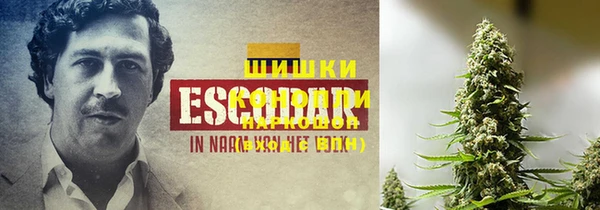 гидропоника Балахна