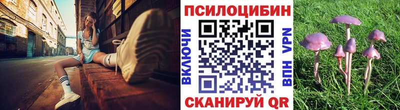 ссылка на мегу зеркало  Новоалександровск  Псилоцибиновые грибы ЛСД  магазин продажи  